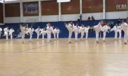 跆拳道教学视频,掌握实战技巧与礼仪规范