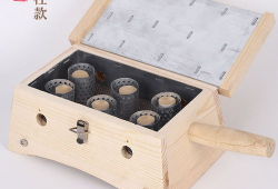 正确使用艾灸盒视频,视频教学，轻松掌握艾灸养生技巧